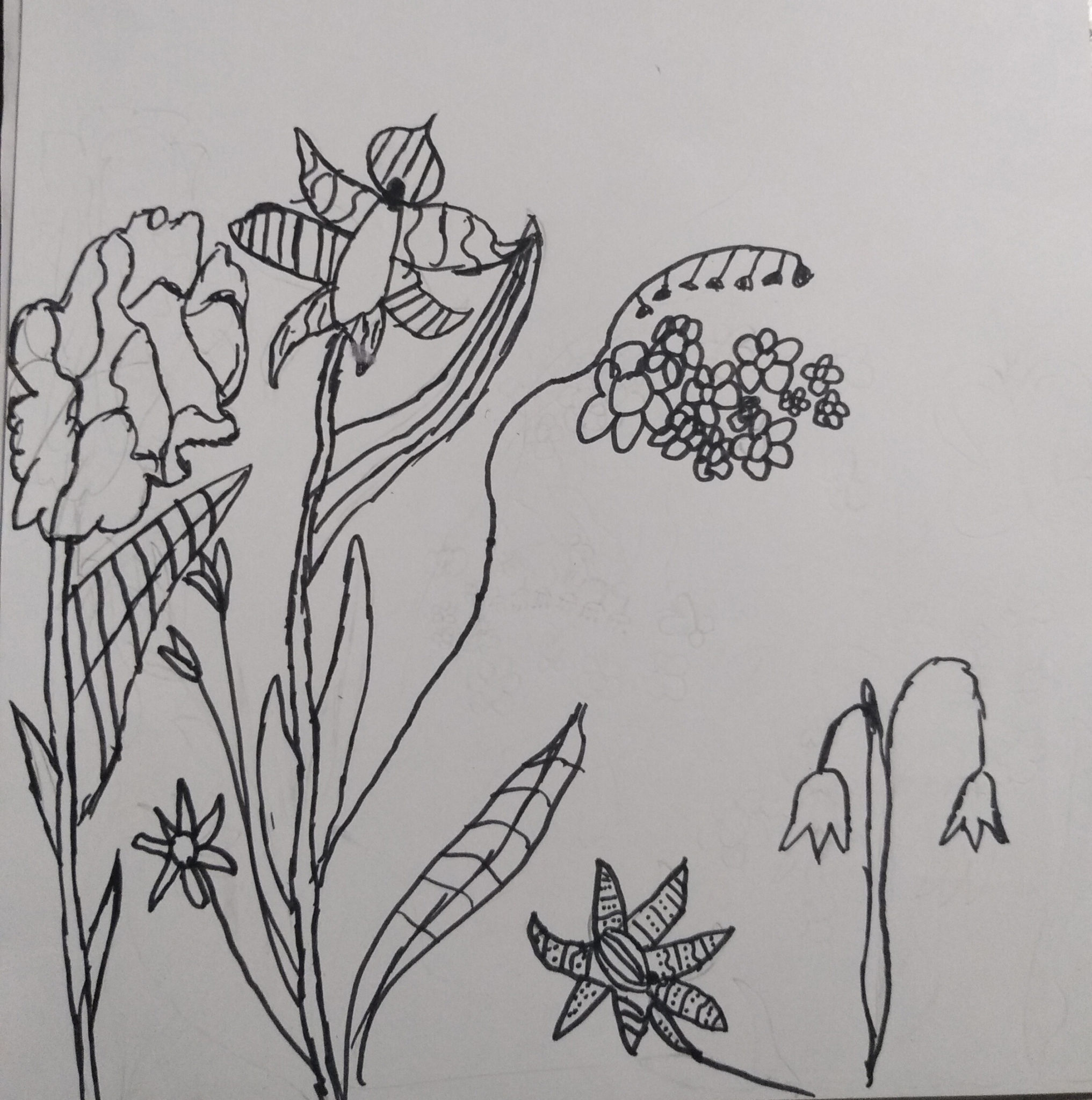 Рисунок на тему основа изобразительного творчества цветы